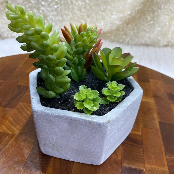 Faux succulents, 3-4 in 2”H hexagon shaped pots (2 available for purchase) - Picture 6 of 14